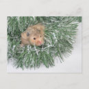 Search for tinsel christmas cards Pet