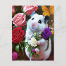 Search for hamster postcards Sweet