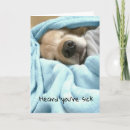 Search for golden retriever get well cards Illness