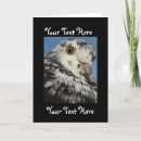 Search for inside text postcards Photography