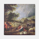 Search for flocking square magnets Shepherd