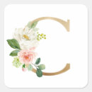 Search for monograms c labels Botanical