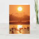 Search for romantic sunset cards Sunrise