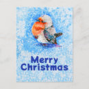 Search for european robin bird postcards Watercolor