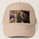 Search for camel hats Desert