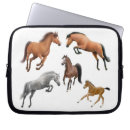 Search for horses electronics Equestrian