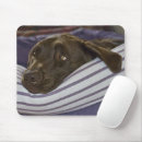 Search for bed mousepads Pets