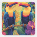 Search for toucan stickers Birds
