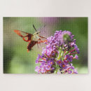 Search for hummingbird puzzles Green