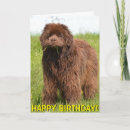 Search for newfoundland birthday cards Cute