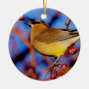 Search for ornithology christmas tree decorations Birds and blooms