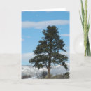 Search for mountain christmas cards Evergreen