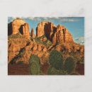 Search for secret postcards Blue