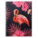 Search for apollo notebooks Greek