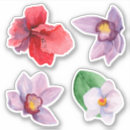 Search for made in hawaii stickers For her
