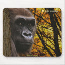 Search for gorilla mousepads Primates