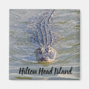 Search for head magnets Vacation