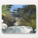 Search for coons mousepads Wild