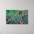 Search for aleutians posters Environment