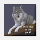 Search for timber wolf magnets Wildlife