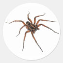 Search for arachnid stickers Phobia