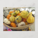 Search for gourd postcards Harvest