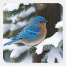 Search for bluebirds stickers Snow