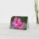 Search for inside photography Pink