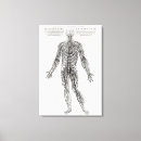Search for andrea canvas prints Anatomy