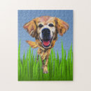 Search for golden puzzles Dog lover