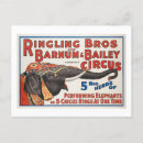 Search for big five postcards Elephants