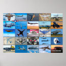 Search for bomber posters Navy
