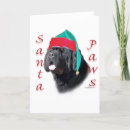 Search for newfoundland dog cards Breed