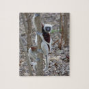 Search for madagascar puzzles Primate
