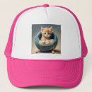 Search for kitten hats Cat
