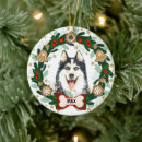 Search for siberian christmas tree decorations Puppy