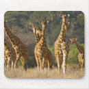 Search for ralph mousepads Wildlife