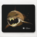 Search for pre historic mousepads Dinosaur