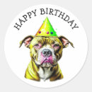 Search for dog watercolor stickers Birthday