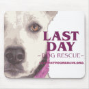 Search for adopt a dog electronics Animals