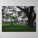 Search for the royal hawaiian hotel Waikiki beach