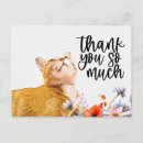 Search for ginger cat cards Orange