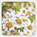 Search for vintage oil stickers Flowers