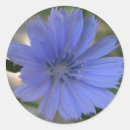 Search for postage stickers Blue