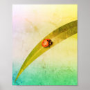 Search for ladybug kids posters Ladybird