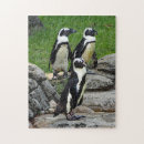 Search for wildlife puzzles Africa