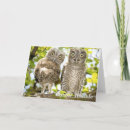 Search for ornithological cards Birds and blooms