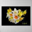 Search for bulbs daffodils posters White
