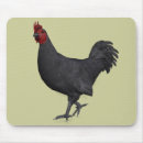 Search for breeder electronics Cute