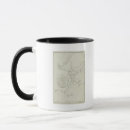 Search for bay area mugs Map